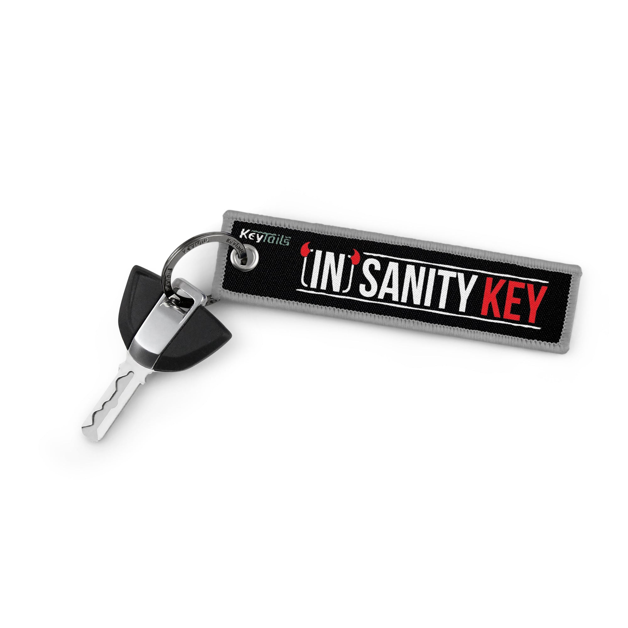 InSanity Key Keychain, Key Tag - Gray